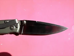 DSCF1682 DSCF1682