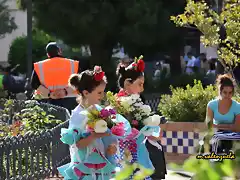 11, ofrenda de flores, marca