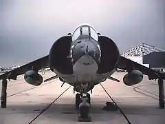 harrier