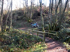 DSCN2096 DSCN2096
