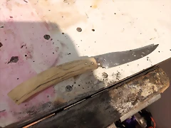 20210210_070530