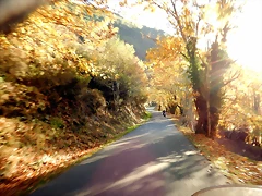 DSCN0007 DSCN0007