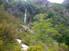 DSCN3879 DSCN3879