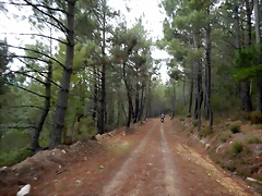 DSCN7216 DSCN7216