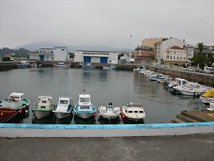 DSCN1382 DSCN1382
