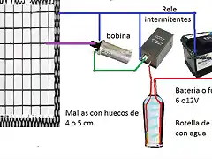 mallaXvelutinas