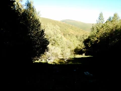DSCN7997 DSCN7997
