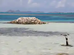 Roques 2011 - Los roques