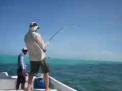 Roques 2011 - Pelea