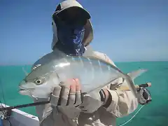 Roques 2011 - bluerunner