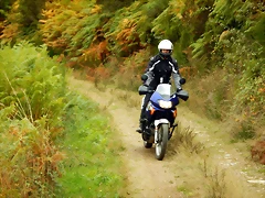 DSCN9978 DSCN9978
