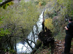 DSCN6140 DSCN6140