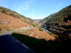 DSCN1555 DSCN1555