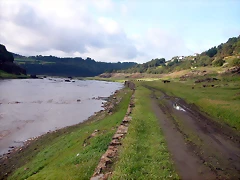 DSCN5396 DSCN5396