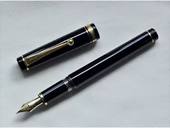 Pilot Custom-2