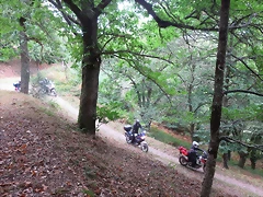 IMG_4556 IMG_4556