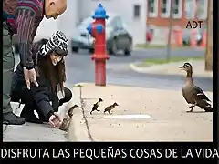 COSAS  DE LA  VIDA 4 M