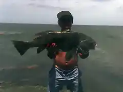 negra 10kg laguna de marchi