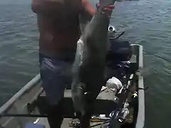 negra 10kg laguna de marchi