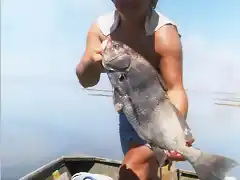 negra 5kg laguna de marchi