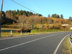 DSCN6665 DSCN6665