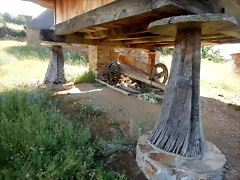 DSCN2348 DSCN2348