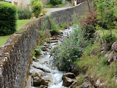 IMG_6670 IMG_6670