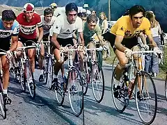 4-Tour-Oca?a-Merckx-Zoetemelk-Gimondi-Poulidor