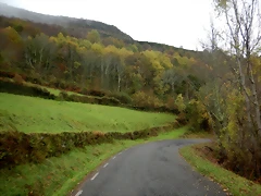 DSCN2852 DSCN2852