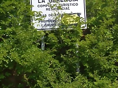 IMG_20220805_114637_1