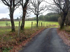 DSCN7361 DSCN7361