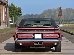 Shelby GT-500 M-767623 (21) Shelby GT-500 M-767623 (21)