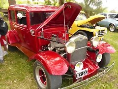 P1050925 P1050925