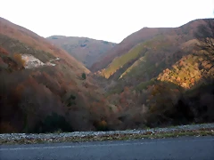 DSCN3339 DSCN3339
