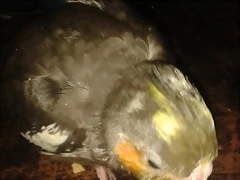 20150226_201214