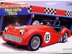 Gunze Sangyo Triumph TR3A Racing