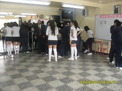SDC11011 SDC11011