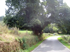 IMG_0310 IMG_0310