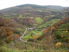 DSCN0590 DSCN0590