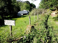 DSCN2459