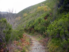 DSCN0636 DSCN0636