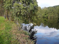 DSCN5274 DSCN5274