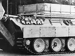 bergepanther