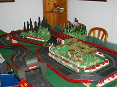 IMGP5008