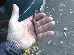 180720111088 180720111088