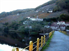 DSCN6484 DSCN6484