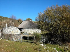 DSCN6900 DSCN6900