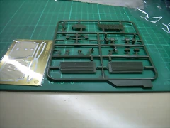 DSCN2648 DSCN2648