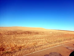 DSCN8246 DSCN8246