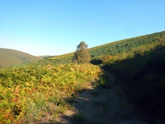 DSCN7715 DSCN7715